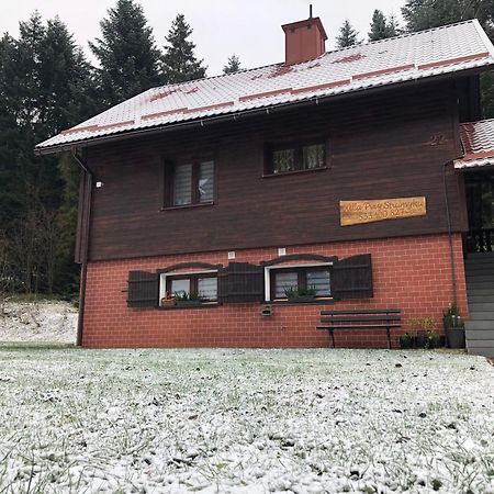 Willa Przy Strumyku Krynica Zdroj Dış mekan fotoğraf