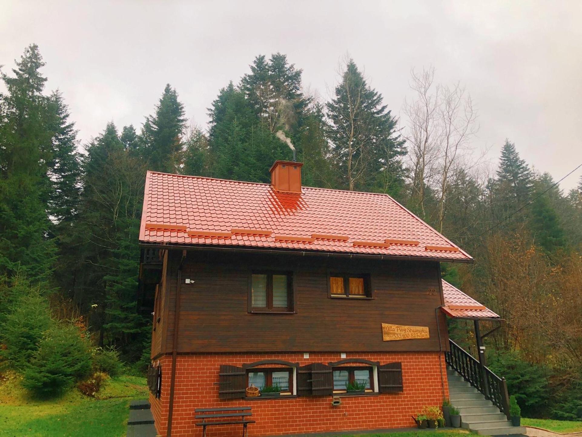 Willa Przy Strumyku Krynica Zdroj Dış mekan fotoğraf